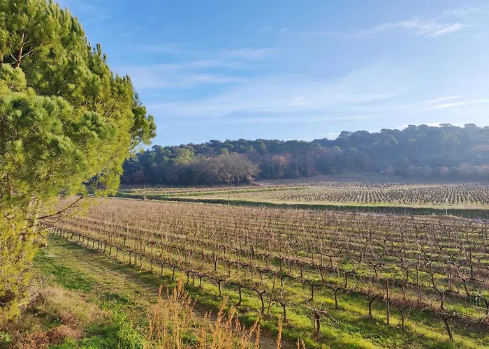Villa Mas Avec Piscine A 20 Minutes Du Pont Du Gard *